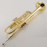 Professional Trumpet Musical Instrument Brass B Flat Electrophoresis Gold 3 Tone Trumpet for Beginner