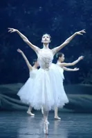 Vestido de Ballet Largo Romántico con Tirantes Finos y Adornos Blancos para Mujer, Disfraz de Bailarina para Representación Escénica de El Lago de los Cisnes