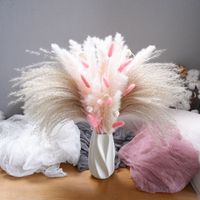 Buket Bunga Kering Rustic Buatan Tangan dengan Rumput Pampas untuk Dekorasi Rumah, Pernikahan, Natal, Gaya Farmhouse, Ramah Lingkungan, Tahan Lama