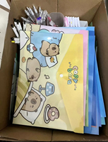 Carpeta de Archivo A4 Transparente de PP con Cierre a Presión, Personalizable al por Mayor, para Oficina