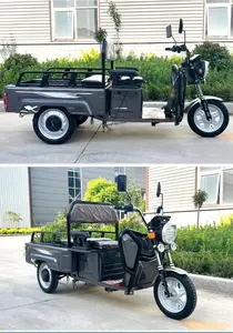 Hete Verkoop Goedkope E-Trikes 3-wielige Lading Elektrische Driewielers Motorfiets Volwassen Elektrische Driewieler Scooter 48V 600W Motor