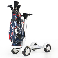Voiturette de golf électrique à quatre roues, scooter pliable à double propulsion, planche à roulettes, chariot de golf au lithium 20 km/h, capacité de charge 200 kg