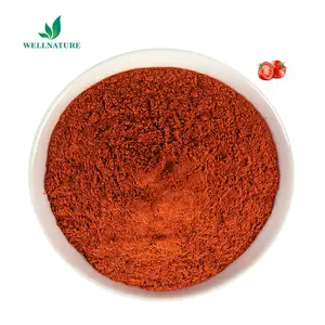 Pigment naturel pur extrait de tomate rouge lycopène 5% fournisseur de poudre