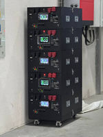Paquete de Baterías LiFePo4 de 51.2V 314AH con 8000 Ciclos, 250A de Corriente, Garantía de 5 Años, Stock PL, con BMS JK V19 para Almacenamiento Solar Doméstico