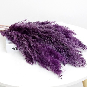 Herbes de la Pampa <span class=keywords><strong>Séchées</strong></span> et Colorées, Petits Roseaux Immortels pour Décoration Maison, Mariage, Noël, DIY - Product Image 4