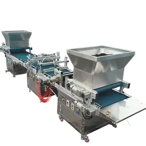Auto Tray Seeding Machine Tray Vegetable Seeder Machine With Mould