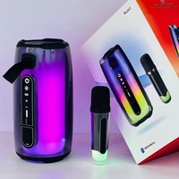 Pulse 7 Colorful pour enceinte 5.0, sortie 10W, système audio portable sans fil transparent, éclairage ambiant 360° pour karaoké