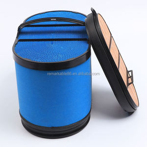 567588d1 4286473m2 p608666 Av00662M2 Akv0066m2 acv0066m2 acv006213044a1 4286473m2 वायु फ़िल्टर तत्व - Product Image 3