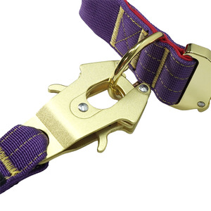 Ensemble laisse et collier tactique en nylon pour chien, avec rembourrage, pour promenades et dressage, personnalisable - Product Image 6