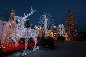 Fabricante de gran tamaño de la vida iluminada decoración Led 3D motivo de luz animales ciervos <span class=keywords><strong>Navidad</strong></span> <span class=keywords><strong>exterior</strong></span> para Centro Comercial - Product Image 5