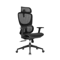 Chaises de bureau exécutives ergonomiques pivotantes à hauteur réglable, entièrement en maille, avec soutien lombaire, chaise de bureau en Chine