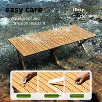 Table de pique-nique portable, légère, en aluminium, pliable, pour le camping en plein air, table de camping pliable, pique-nique à la plage