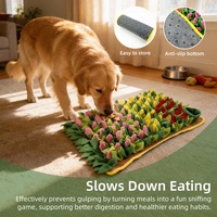 Tapis de désodorisation interactif pour chats et chiens, jouet doux pour la recherche de nourriture et l'entraînement en intérieur