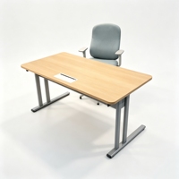 Table d'ordinateur extensible haut de gamme avec base en acier, design minimaliste, mobilier de bureau ergonomique, taille personnalisable