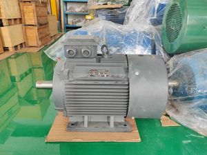 Caja de aluminio Teco 220KW China Motor eléctrico ye3 IP55 - Product Image 4