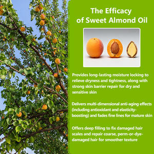 Producto diario <span class=keywords><strong>Aceite</strong></span> <span class=keywords><strong>de</strong></span> almendras dulces 100mL Embalaje personalizado <span class=keywords><strong>Aceite</strong></span> portador <span class=keywords><strong>de</strong></span> almendras dulces Marca Personalizable para cosméticos - Product Image 6