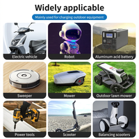 Chargeur intelligent automatique étanche NULIKE pour tondeuse robotisée avec protection contre les surcharges – Fournisseur d'usine