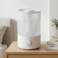 Humidificateur Électrique de Bureau à Brume Froide, Commande par Bouton, Capacité 4L, Garantie 1 An, pour Bureau et Usage Domestique, Stérilisation