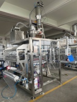 Machine d'emballage automatique multi-voies pour sachets de suppléments de graines de légumes, scellage 4 côtés, étiquetage alimentaire et chimique de haute performance