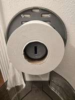 Papier hygiénique en rouleau, pâte de bois vierge, doux, facile à rincer, usage public, vrac.