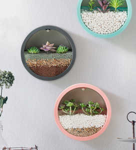 Maceta Creativa para Montar EN LA Pared, Macaron Nórdico, Plantas Verdes, Decoración <span class=keywords><strong>DE</strong></span> LA Pared del Salón, Peces Hidropónicos Circulares - Product Image 6