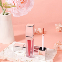 Kits de gloss à lèvres personnalisables à base de plantes, format poche, rehausseur de couleur, brillance sensuelle, vente en gros, longue tenue, rehausseur de couleur
