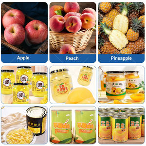 สายการผลิตผลไม้กระป๋อง OCEAN Pineapple Process เครื่องบรรจุผลไม้กระป๋องสำหรับพีช - Product Image 6