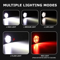 Torche LED rechargeable USB en alliage d'aluminium étanche à haute luminosité Grand projecteur Longue durée de vie de la batterie IP65 Tactique