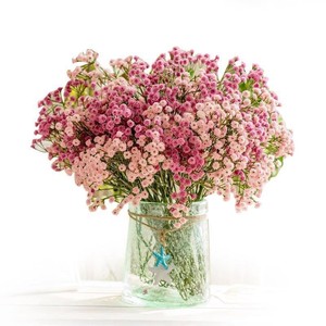 Flores Artificiales de Goma PU Suave con Tacto Fresco y Ligero, Fabricante <span class=keywords><strong>Mantis</strong></span> Star, Venta al por Mayor de Flores Falsas para Decoración del Hogar - Product Image 5