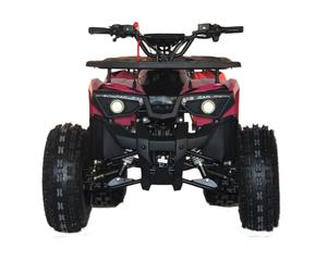 <span class=keywords><strong>Cuatrimoto</strong></span> ATV de 125cc, 4 tiempos, refrigeración por aire natural, arranque eléctrico, transmisión automática por cadena, de alta capacidad, para montaña - Product Image 2