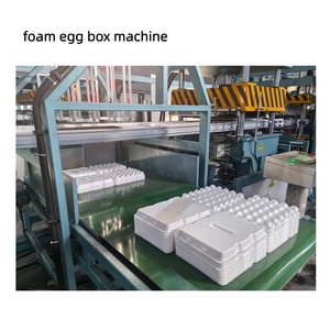 Machine de thermoformage entièrement automatique pour la fabrication de barquettes à œufs, boîtes alimentaires et assiettes jetables en mousse PS - Product Image 2