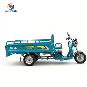 Tricicli Elettrici a Tre Ruote di Grande Capacità e Praticità per il Trasporto di Merci nel Mercato - Product Image 6