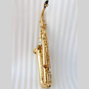 Saxofón C Melody <span class=keywords><strong>de</strong></span> Alta Calidad, Saxofón C Melody <span class=keywords><strong>de</strong></span> Latón Lacado en Oro con Estuche en Stock - Product Image 2