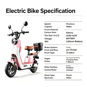 Vélo électrique <span class=keywords><strong>Urban</strong></span> <span class=keywords><strong>Glide</strong></span> City, édition spéciale avec grande capacité de rangement, populaire auprès des jeunes cyclistes - Product Image 6