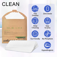 Nouvelles Bandes de Lessive Écologiques Tendances à Base d'Extraits Végétaux Biodégradables
