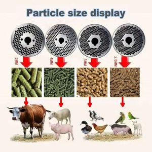 Thiết kế mới Thức ăn viên Máy Làm/ánh nắng mặt trời sử dụng nhà nguồn cấp dữ liệu pelletizer Máy động vật Thức ăn viên - Product Image 6