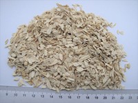 Poudre de raifort déshydratée séchée à l'air, épices, poudre de wasabi blanche