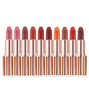 ODM Cosmetics Long-lasting Lip Stick Matte Waterproof Lipstick