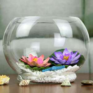 D-Vormige Glazen <span class=keywords><strong>Aquarium</strong></span> Met Transparante Basis Voor Moderne Huisdecoratie; Fles Voor Aquaponics En Microlandschappen - Product Image 3