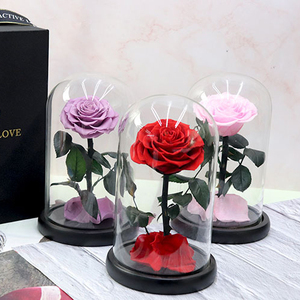 Cadeau haut de gamme tendance : Roses éternelles sous cloche en verre, <span class=keywords><strong>La</strong></span> <span class=keywords><strong>Belle</strong></span> <span class=keywords><strong>et</strong></span> <span class=keywords><strong>la</strong></span> Bête, fleur qui ne se décolore jamais. Parfait pour <span class=keywords><strong>la</strong></span> Saint-Valentin, <span class=keywords><strong>la</strong></span> fête des mères - Product Image 4