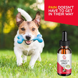 Pet Pain Relief Drops Arnica Medicamentos naturais Ajuda a reduzir a articulação muscular Quadril Dor Dor Rigidez Lesões em animais de estimação - Product Image 2
