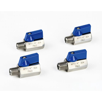 Mini vanne à boisseau sphérique pour jardin, connecteur d'eau, poignée en acier inoxydable, filetage NPT/BSPT interne/extérieur, SS304, 1/4"-1" pouce