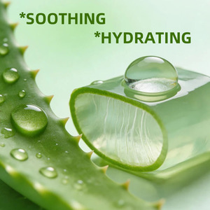 Gel d'<span class=keywords><strong>aloe</strong></span> <span class=keywords><strong>vera</strong></span> biologique non parfumé 100% naturel sans conservateurs artificiels hydratant apaisant soulagement pour les coups de soleil et l'<span class=keywords><strong>eczéma</strong></span> - Product Image 3
