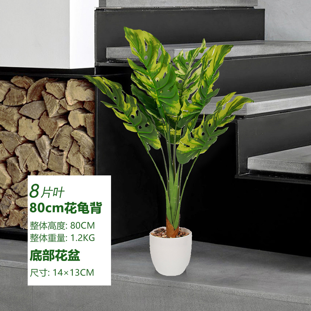 Fleur tortue dos 80cm