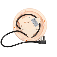 Bouilloire électrique sans fil portable en acier inoxydable avec arrêt automatique 220V