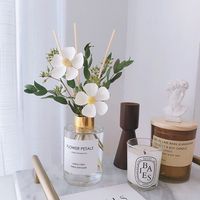 Diffuseur de parfum d'ambiance de luxe 120 ml à bâtonnets, diffuseur d'huiles essentielles décoratif pour la maison