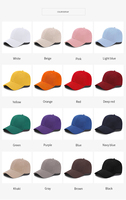 Casquette de baseball personnalisée avec logo brodé en coton, visière incurvée, casquette de sport rouge, 12 couleurs, 6 panneaux, pour femme et homme