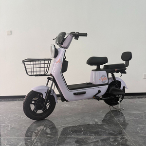 Kit de Ruedas para Bicicleta Eléctrica de 200W, 20 Pulgadas, Usada, 15000 City, 3600 Watts, Dos Asientos, Neumáticos de 500 20, 48V - Product Image 4