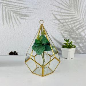 Terrario Geométrico de Vidrio Estilo Vintage Dorado Irregular para Plantas Suculentas de Mesa - Product Image 3