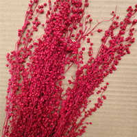 Fleurs conservées mini haricots matériaux pour compositions florales et bouquet décorations pour la maison plantes séchées petits haricots Noël